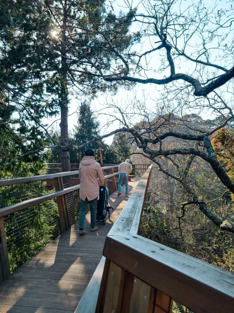 City Trip to Porto with a Baby, Fundação Serralves | treetop walk